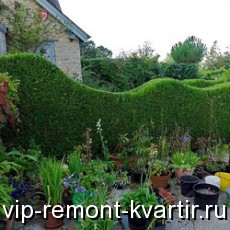        ? - VIP-REMONT-KVARTIR.RU