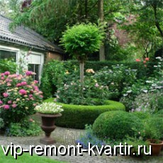   -      - VIP-REMONT-KVARTIR.RU