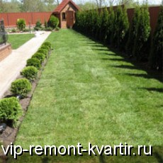   - VIP-REMONT-KVARTIR.RU