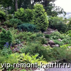      - VIP-REMONT-KVARTIR.RU