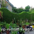        ? - VIP-REMONT-KVARTIR.RU