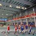     - VIP-REMONT-KVARTIR.RU